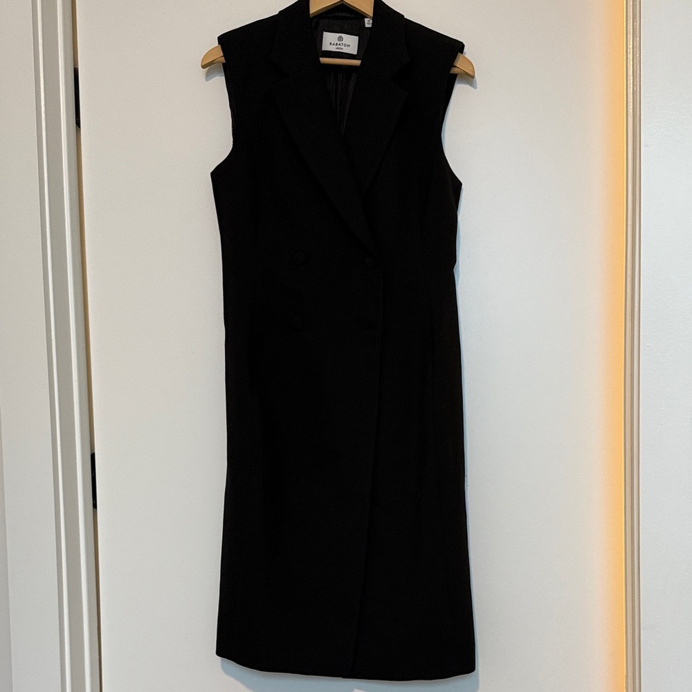 Aritizia Babaton Black Sleeveless Dress